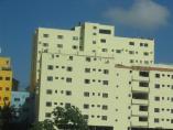 Imagem_006.jpg