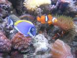DSCN0815.JPG