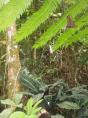 DSCN4085.JPG